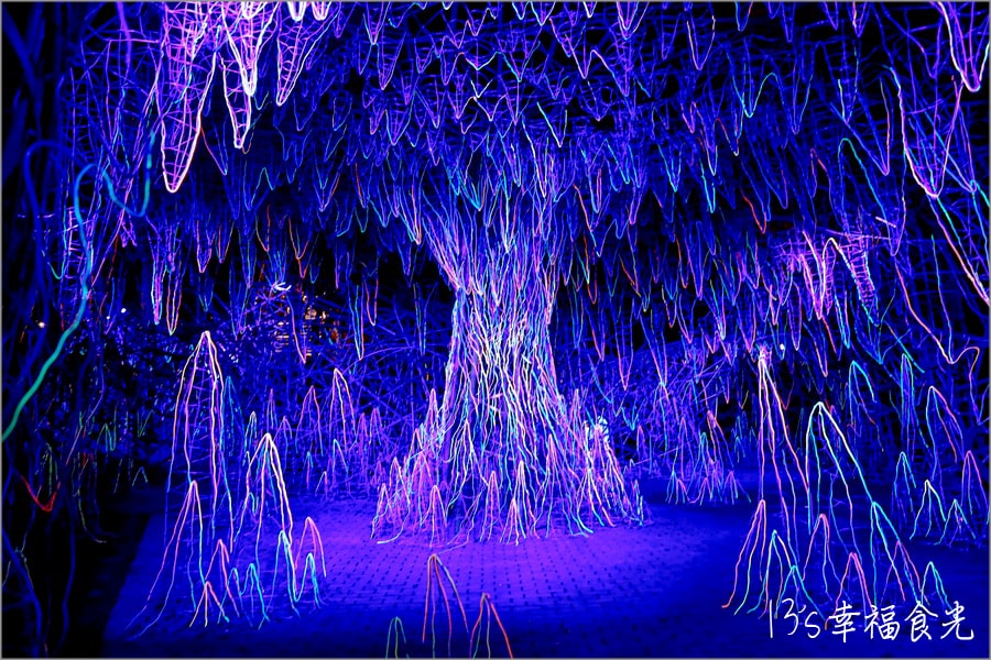 20250730-hlh8b 20250730-hlh8b