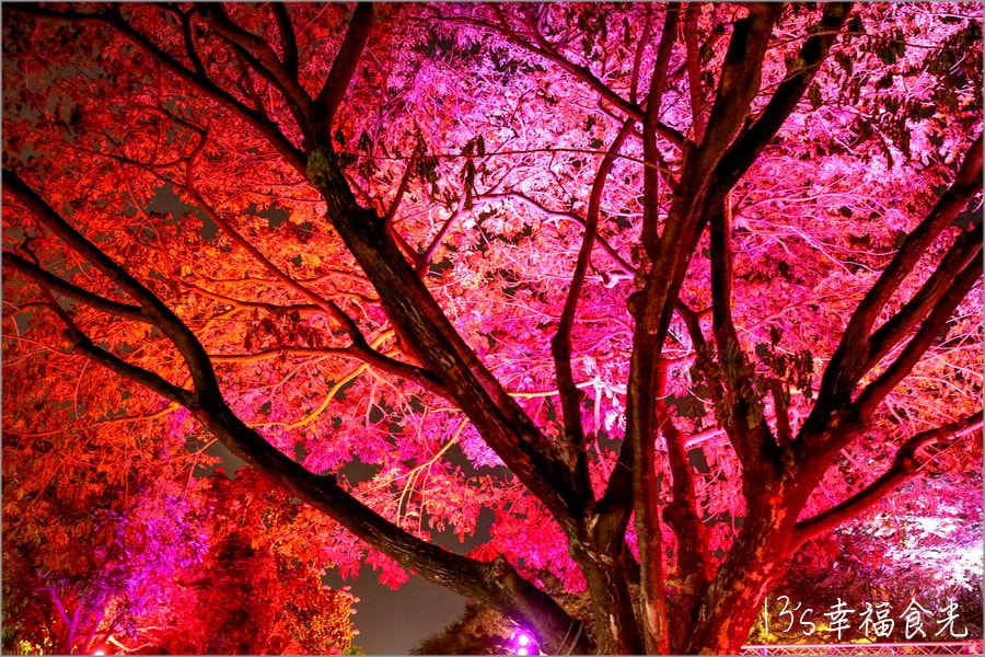 20250730-4d0vz 20250730-4d0vz