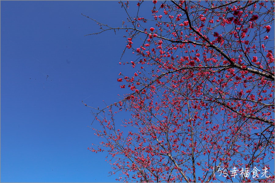 20250730-p5ine 20250730-p5ine