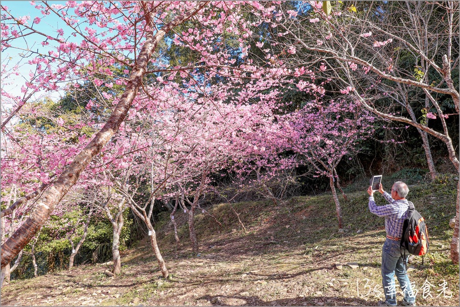 20250730-xul0y