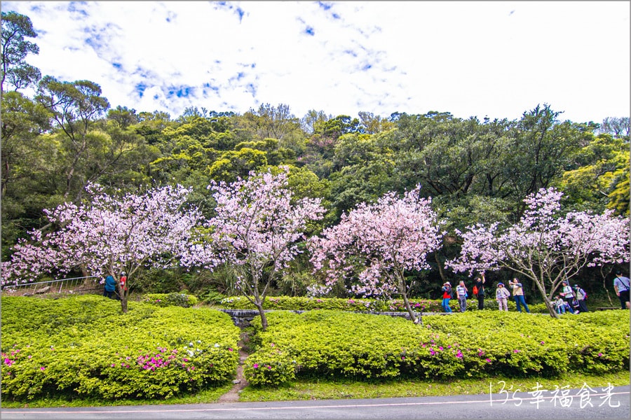 20250730-i8fw4