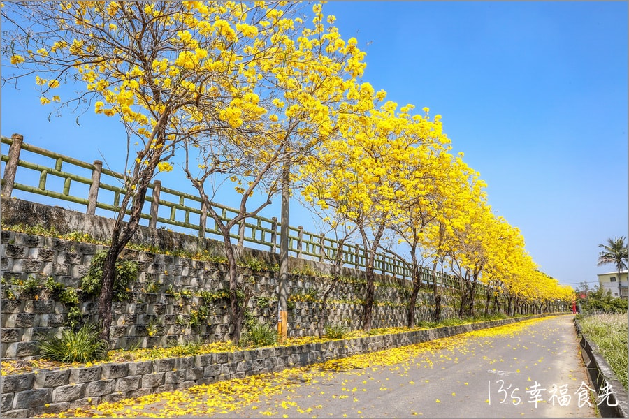 20250730-qdpc4