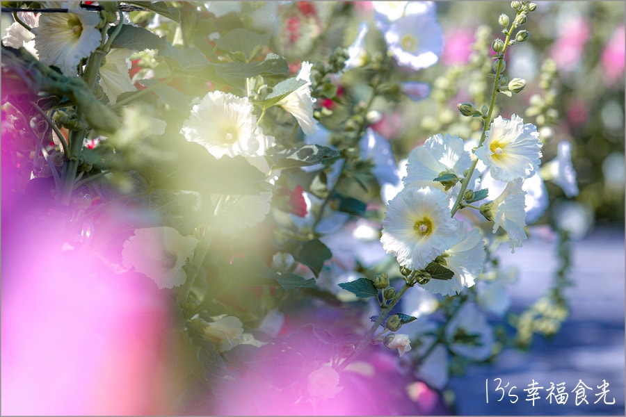 20250730-rrere