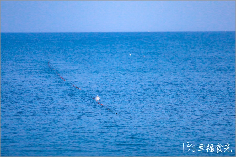 20250730-f6g9e