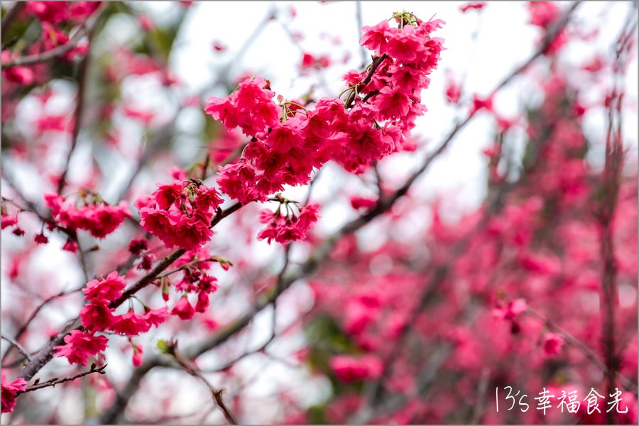20250730-cly40