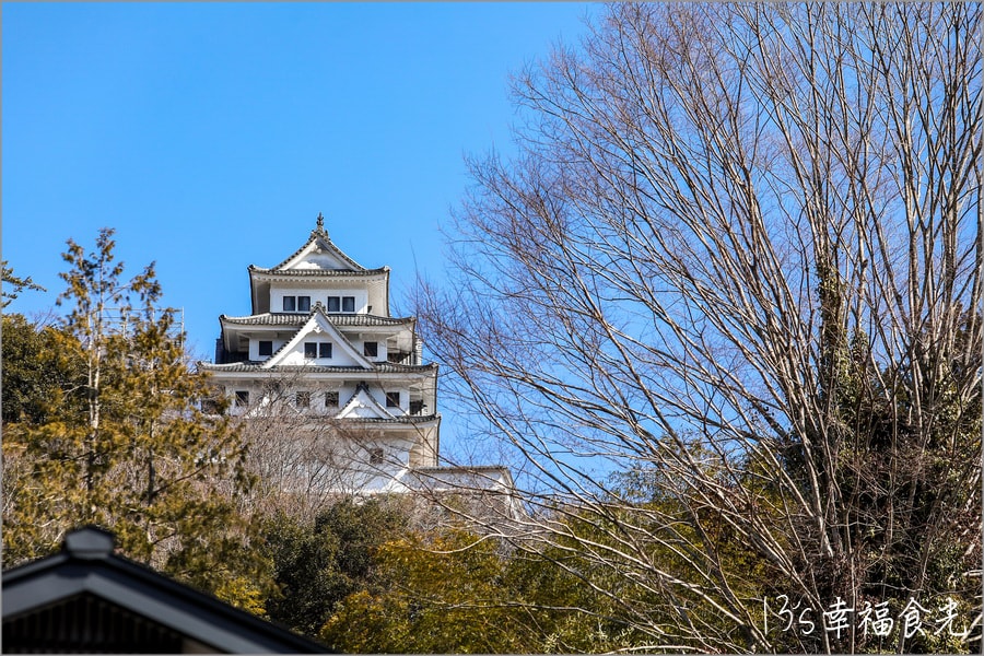 20250730-5q1fw