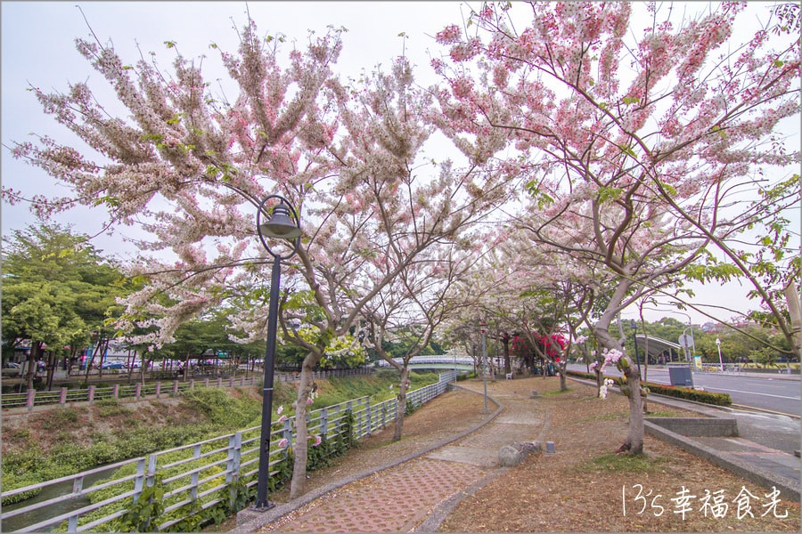 20250730-g7j3d
