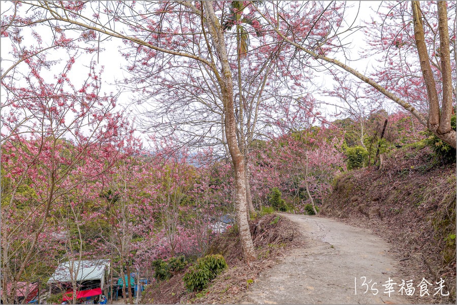 20250730-16mm4