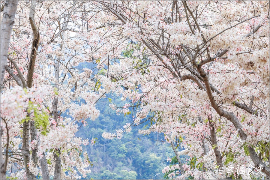 20250730-6hw7r 20250730-6hw7r