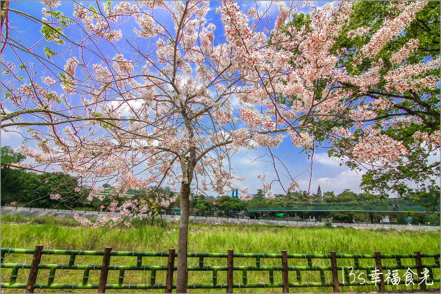 20250730-71v5d 20250730-71v5d