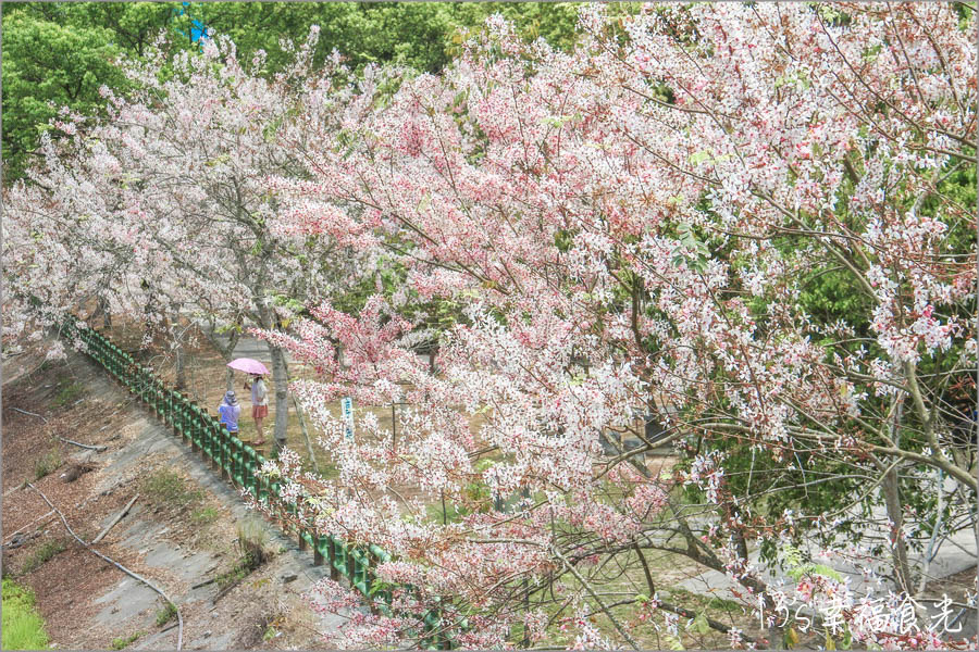 20250730-8p3ql