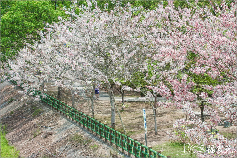 20250730-rf2w3