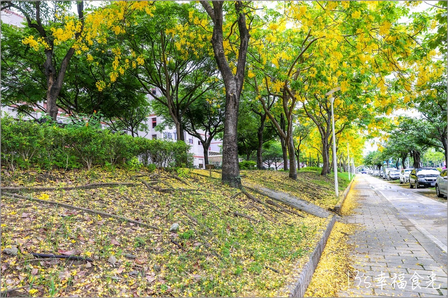 20250730-ud50e