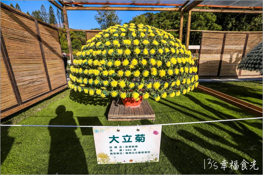 20250730-72063 20250730-72063