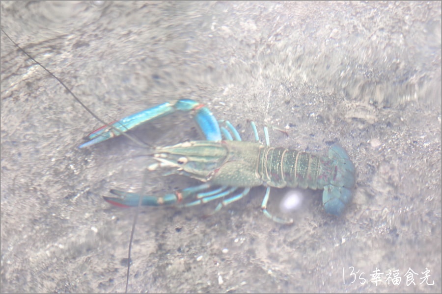 20250730-gfwef