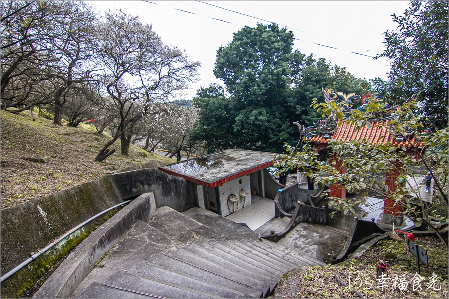 20250730-1p1jg