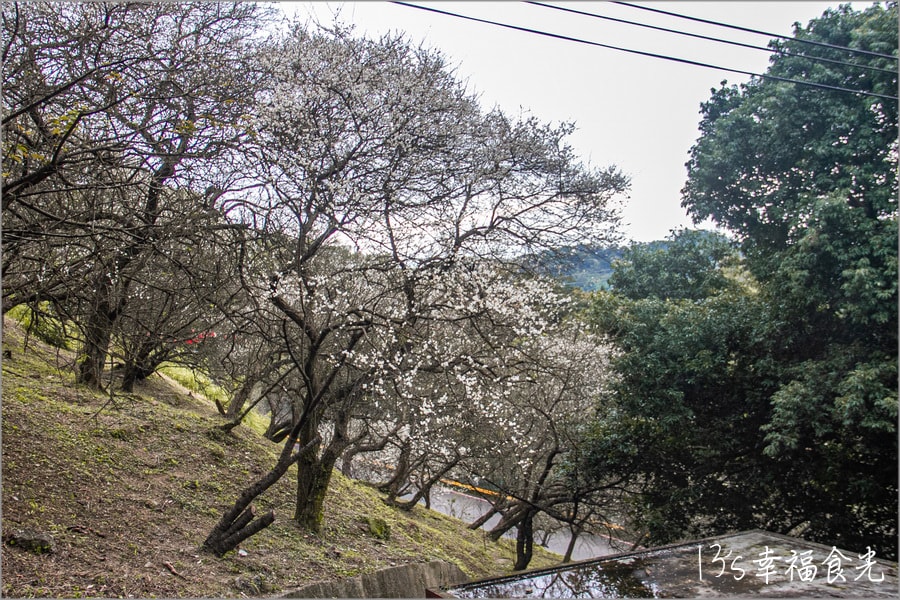 20250730-7j5aw
