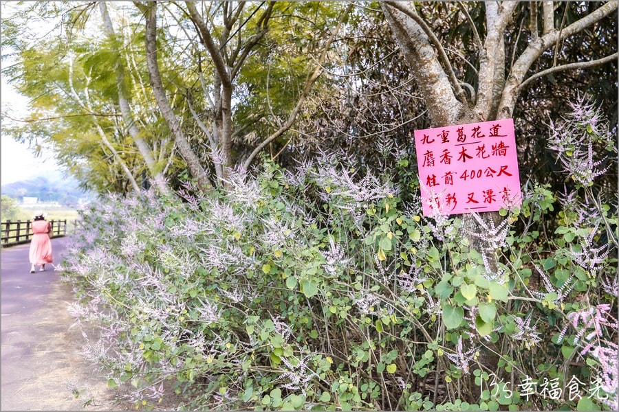 20250730-idzre
