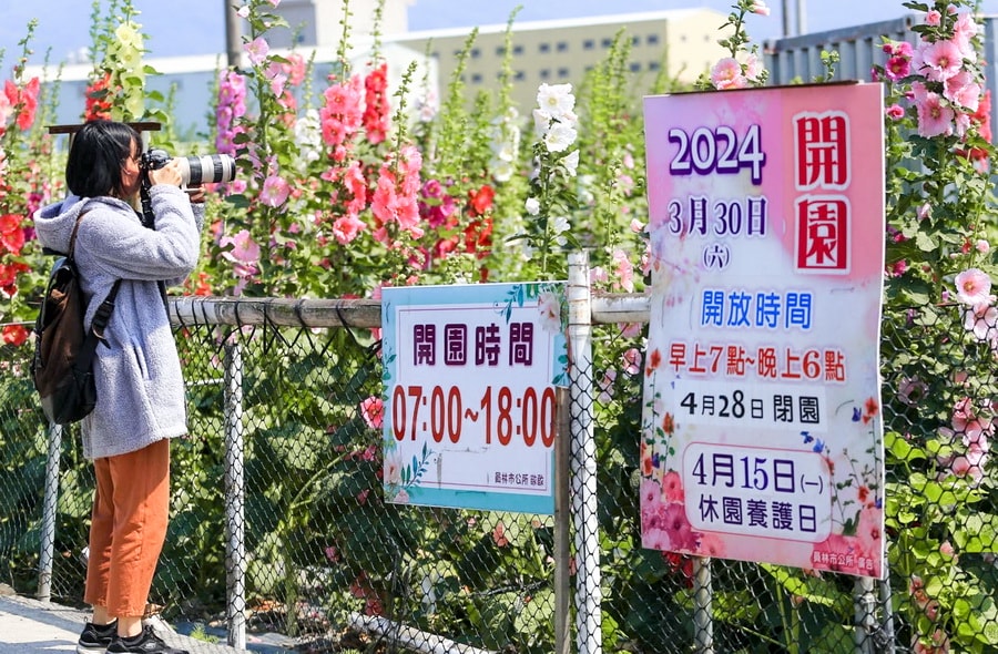 20250730-dx41n