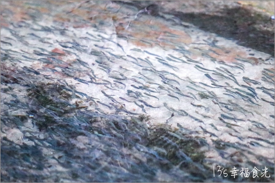20250730-tdkbn