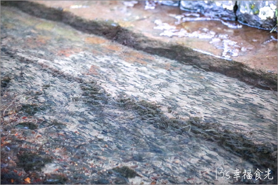 20250730-x4tk7