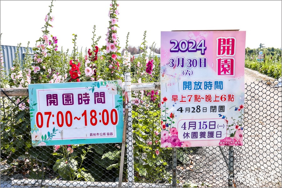 20250730-ymgmr