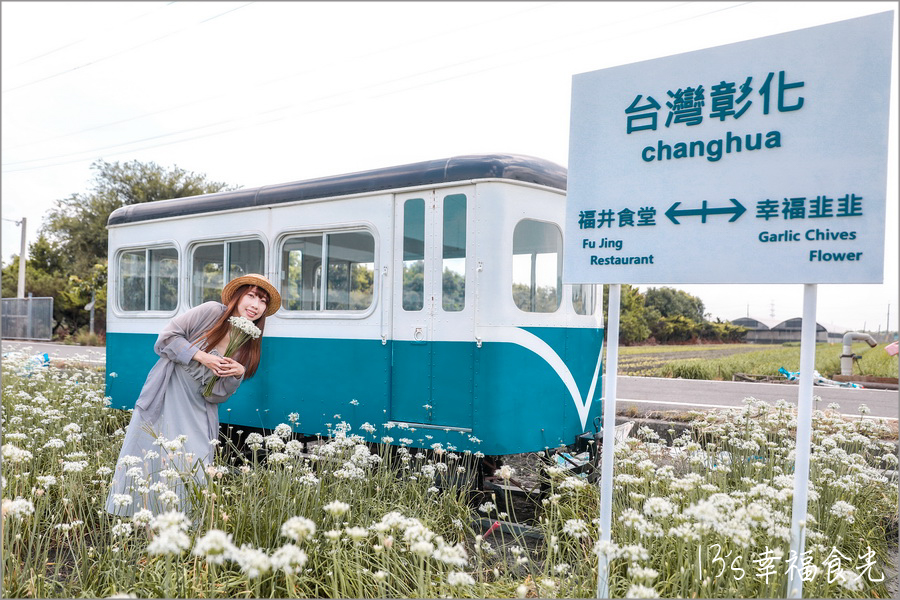 【彰化韭菜花季2024】彰化田尾老家三合院《幸福韭韭．韭菜花海》彰化九月雪～浪漫花開⌇台糖135巡道車與雪白花海拍翻天⌇田尾韭菜花田位置⌇彰化韭菜花海2024 @13&#039;s幸福食光