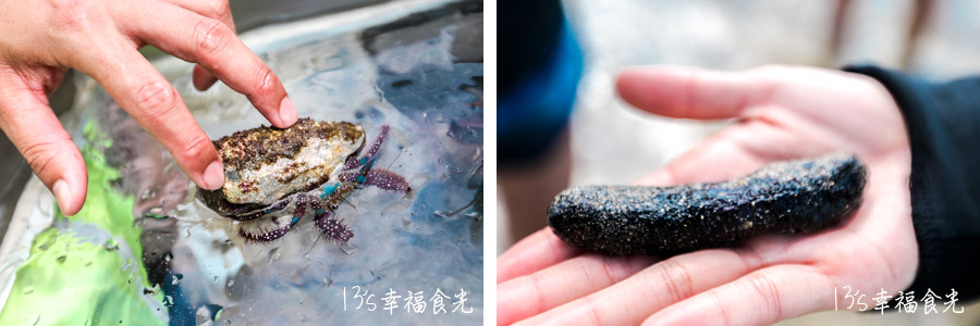 【小琉球行程懶人包】離島度假趣～小琉球三天兩夜｜小琉球玩水景點整理｜小琉球必吃美食｜小琉球咖啡廳｜小琉球景點旅遊 @13&#039;s幸福食光