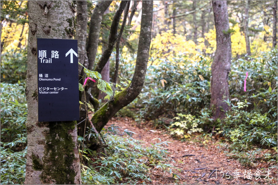 【磐梯吾妻住宿】猶如森林裡的山屋美術館《吾妻小舍》Azumagoya Lodge｜淨土平住宿｜淨土平山屋｜磐梯吾妻包棟住宿｜福島登山住宿 @13&#039;s幸福食光