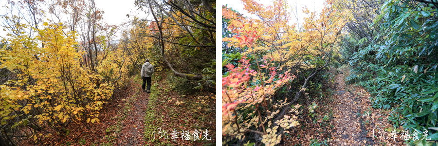 【磐梯吾妻住宿】猶如森林裡的山屋美術館《吾妻小舍》Azumagoya Lodge｜淨土平住宿｜淨土平山屋｜磐梯吾妻包棟住宿｜福島登山住宿 @13&#039;s幸福食光