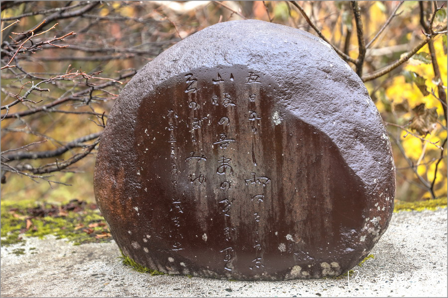 【磐梯吾妻住宿】猶如森林裡的山屋美術館《吾妻小舍》Azumagoya Lodge｜淨土平住宿｜淨土平山屋｜磐梯吾妻包棟住宿｜福島登山住宿 @13&#039;s幸福食光