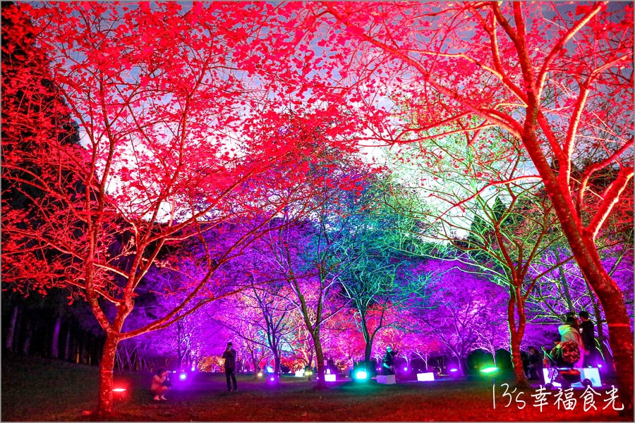 20250730-0rvg6