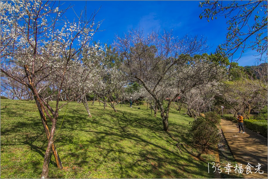 20250730-d5cpb