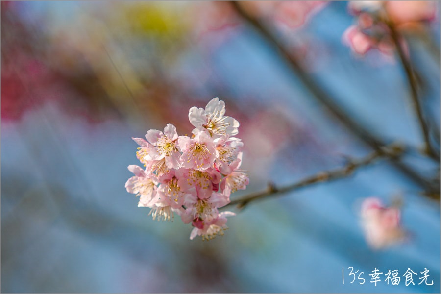 20250730-htcpu