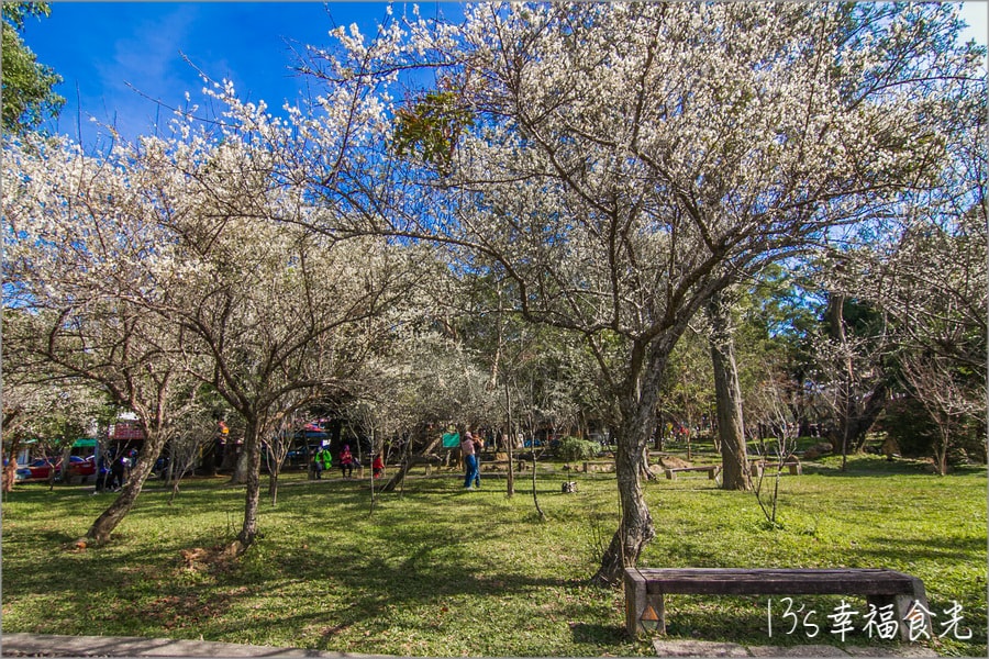 20250730-p81og