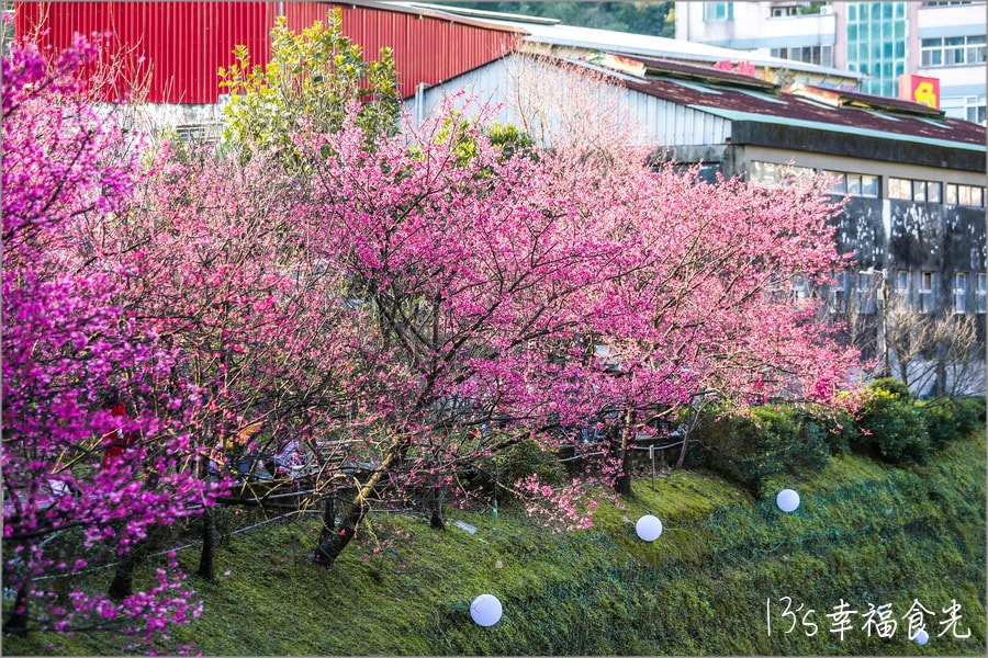 20250730-rtcz5 20250730-rtcz5