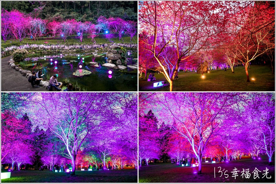 20250730-sfqjx