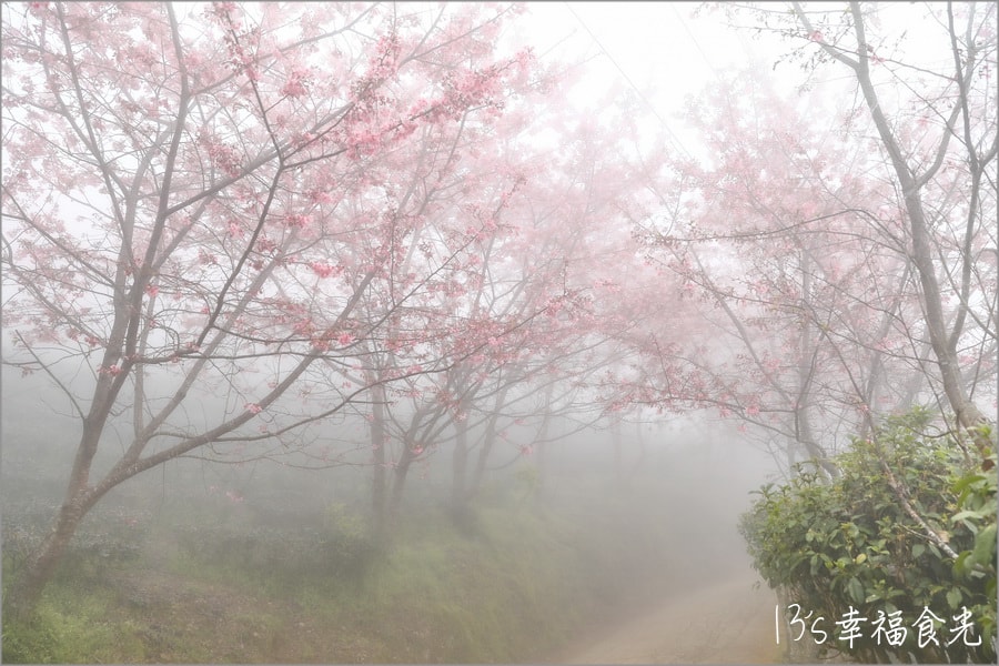 20250730-ssqcd 20250730-ssqcd