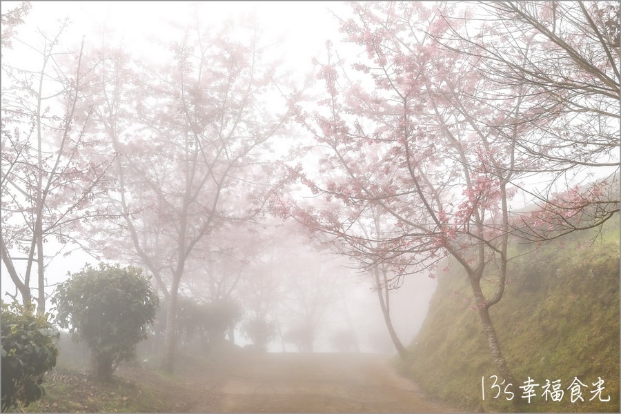 20250730-tthxs