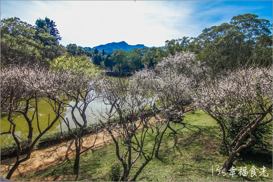 20250730-xf1n4