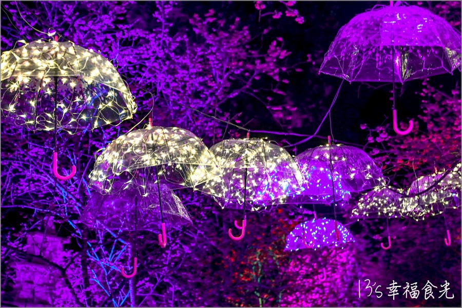 20250730-xslcm