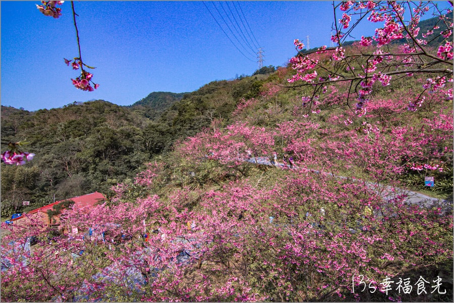 20250730-y9x0p