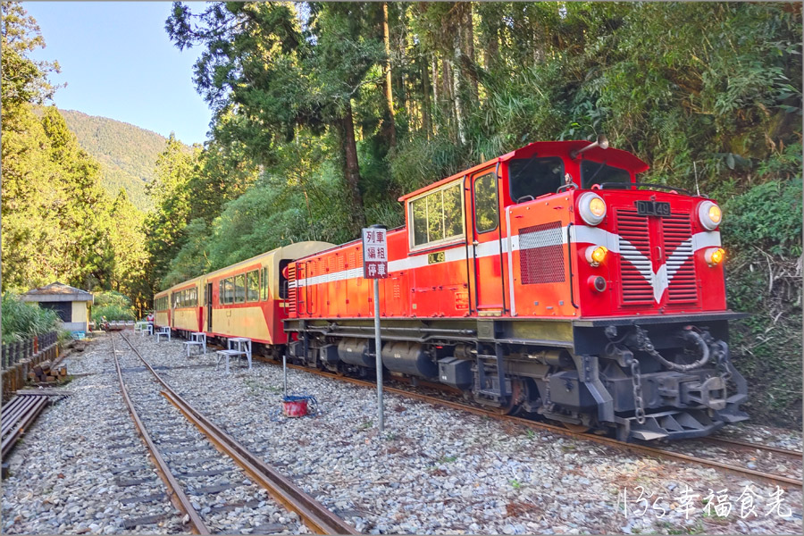 【阿里山小火車旅遊】阿里山兩天一夜行程《林鐵全線通車》搭著阿里山中興號上山住一晚！看阿里山日出｜坐蒸汽小火車(季節限定賞楓列車)｜極光祝山啤酒祝山杯｜奮起湖車庫園區｜得恩亞納 @13&#039;s幸福食光