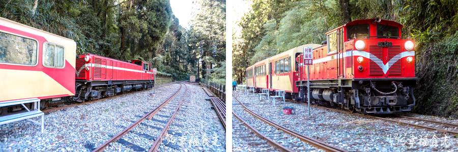 【阿里山小火車旅遊】阿里山兩天一夜行程《林鐵全線通車》搭著阿里山中興號上山住一晚！看阿里山日出｜坐蒸汽小火車(季節限定賞楓列車)｜極光祝山啤酒祝山杯｜奮起湖車庫園區｜得恩亞納 @13&#039;s幸福食光