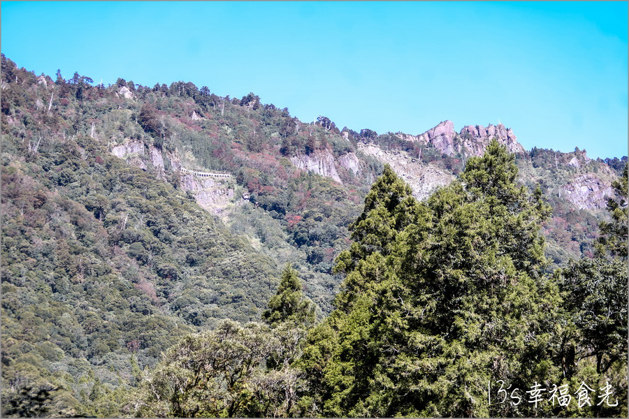 【阿里山小火車旅遊】阿里山兩天一夜行程《林鐵全線通車》搭著阿里山中興號上山住一晚！看阿里山日出｜坐蒸汽小火車(季節限定賞楓列車)｜極光祝山啤酒祝山杯｜奮起湖車庫園區｜得恩亞納 @13&#039;s幸福食光