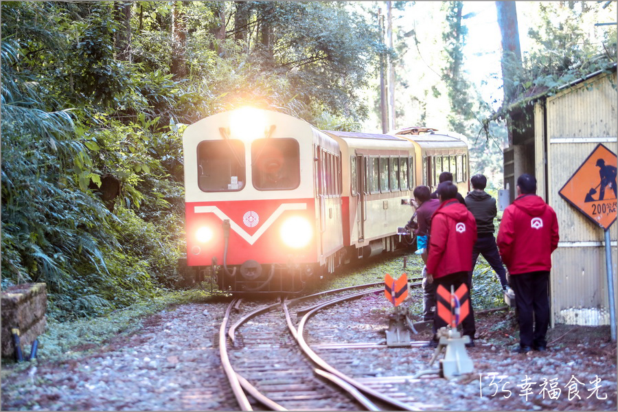 【阿里山小火車旅遊】阿里山兩天一夜行程《林鐵全線通車》搭著阿里山中興號上山住一晚！看阿里山日出｜坐蒸汽小火車(季節限定賞楓列車)｜極光祝山啤酒祝山杯｜奮起湖車庫園區｜得恩亞納 @13&#039;s幸福食光