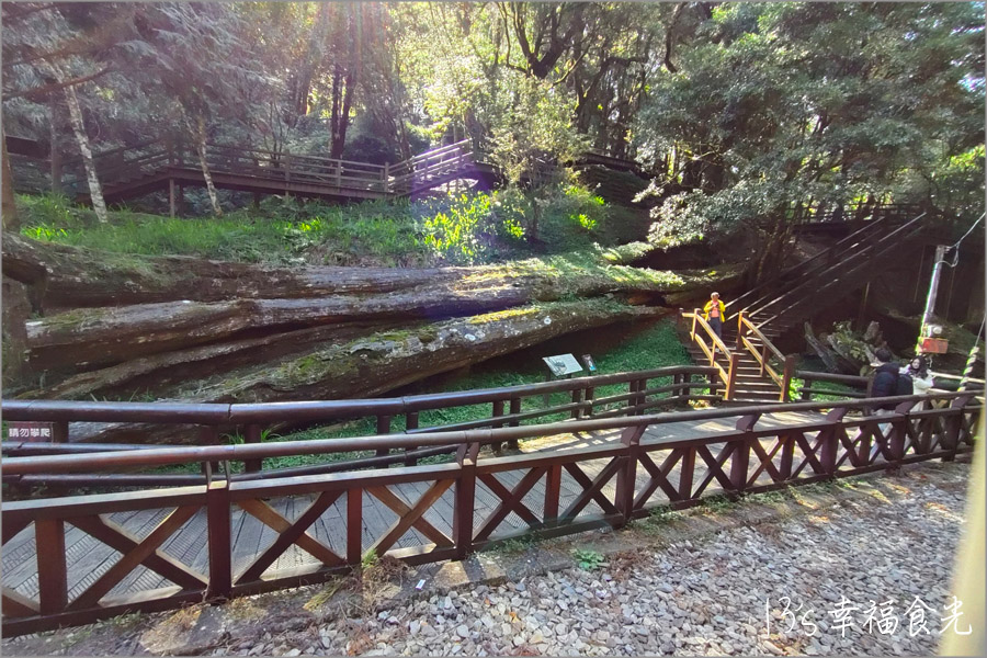 【阿里山小火車旅遊】阿里山兩天一夜行程《林鐵全線通車》搭著阿里山中興號上山住一晚！看阿里山日出｜坐蒸汽小火車(季節限定賞楓列車)｜極光祝山啤酒祝山杯｜奮起湖車庫園區｜得恩亞納 @13&#039;s幸福食光