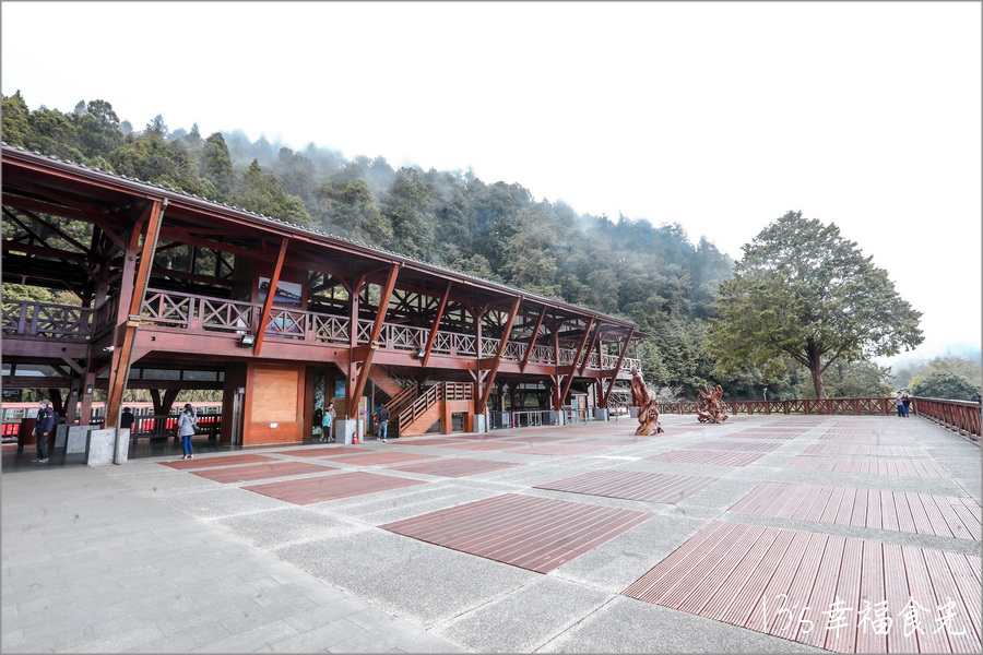 【阿里山小火車旅遊】阿里山兩天一夜行程《林鐵全線通車》搭著阿里山中興號上山住一晚！看阿里山日出｜坐蒸汽小火車(季節限定賞楓列車)｜極光祝山啤酒祝山杯｜奮起湖車庫園區｜得恩亞納 @13&#039;s幸福食光