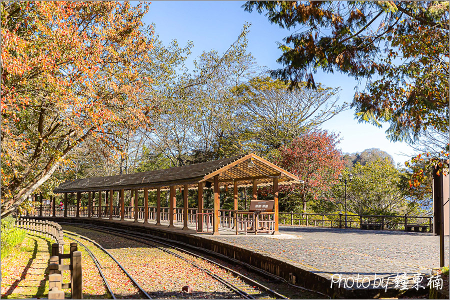 【阿里山小火車旅遊】阿里山兩天一夜行程《林鐵全線通車》搭著阿里山中興號上山住一晚！看阿里山日出｜坐蒸汽小火車(季節限定賞楓列車)｜極光祝山啤酒祝山杯｜奮起湖車庫園區｜得恩亞納 @13&#039;s幸福食光