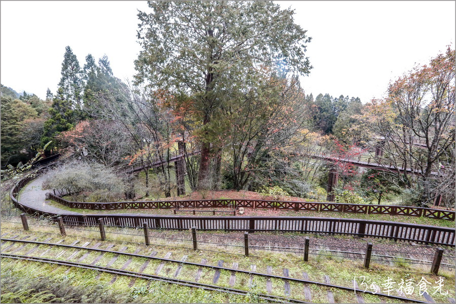 【阿里山小火車旅遊】阿里山兩天一夜行程《林鐵全線通車》搭著阿里山中興號上山住一晚！看阿里山日出｜坐蒸汽小火車(季節限定賞楓列車)｜極光祝山啤酒祝山杯｜奮起湖車庫園區｜得恩亞納 @13&#039;s幸福食光